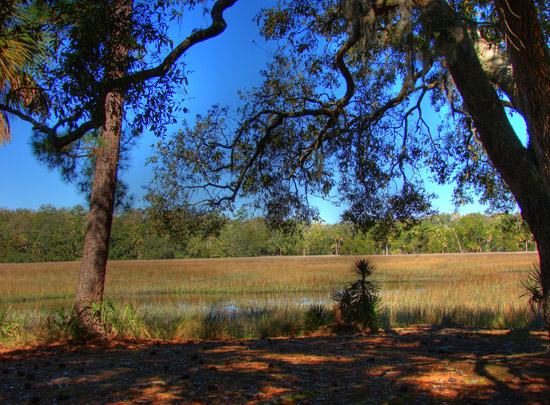 Hermitage Island coastal landscape photograph 3