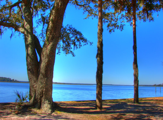Hermitage Island coastal landscape photograph 8