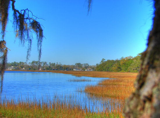 Hermitage Island coastal landscape photograph 13